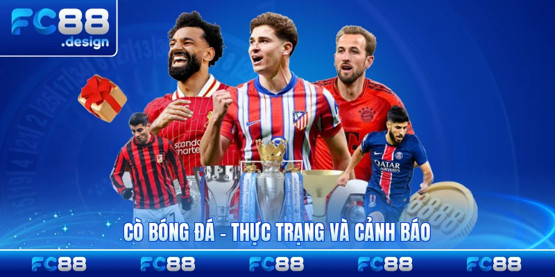 Cò Bóng Đá - Thực Trạng Và Cảnh Báo 2026