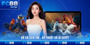 Đá Gà Cựa Tre - Kỹ Thuật Và Bí Quyết Giành Thắng Lớn