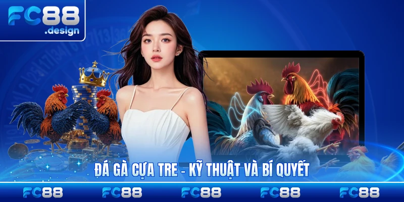 Đá Gà Cựa Tre - Kỹ Thuật Và Bí Quyết Giành Thắng Lớn