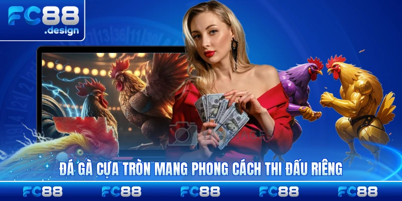 Đá gà cựa tròn mang phong cách thi đấu riêng độc đáo