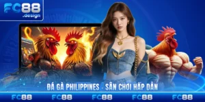 Đá Gà Philippines - Sân Chơi Hấp Dẫn Châu Á Tại FC88