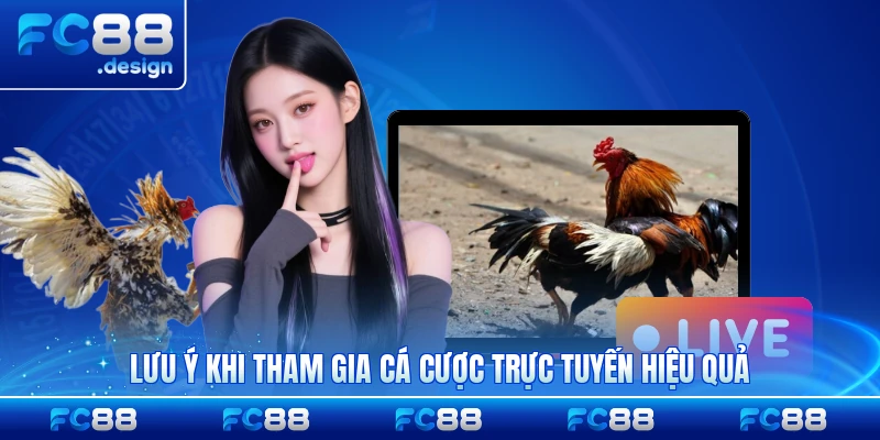 Lưu ý khi tham gia cá cược trực tuyến hiệu quả