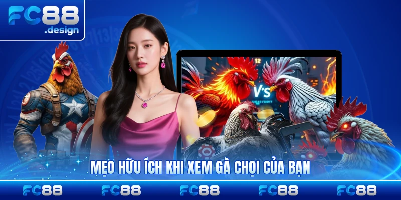 Mẹo hữu ích khi xem gà chọi của bạn