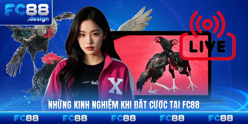 Những kinh nghiệm khi đặt cược tại FC88 hữu ích