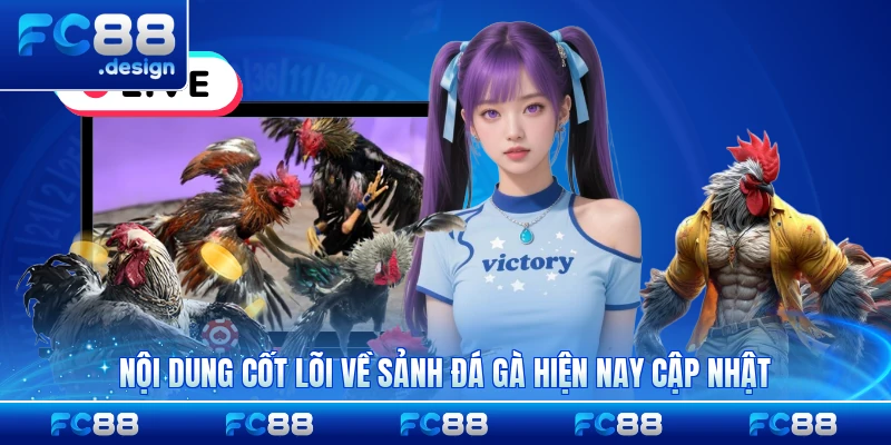 Nội dung cốt lõi về sảnh đá gà hiện nay cập nhật