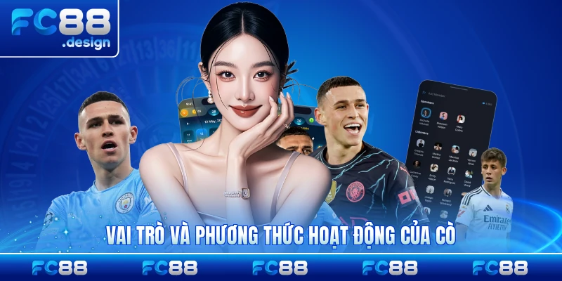 Vai trò và phương thức hoạt động của cò chi tiết